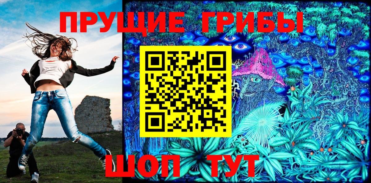 Псилоцибиновые грибы мицелий Славгород