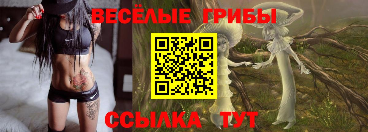 Славгород  Галлюциногенные грибы ЛСД  Вход с VPN  Псилоцибиновые грибы ЛСД 